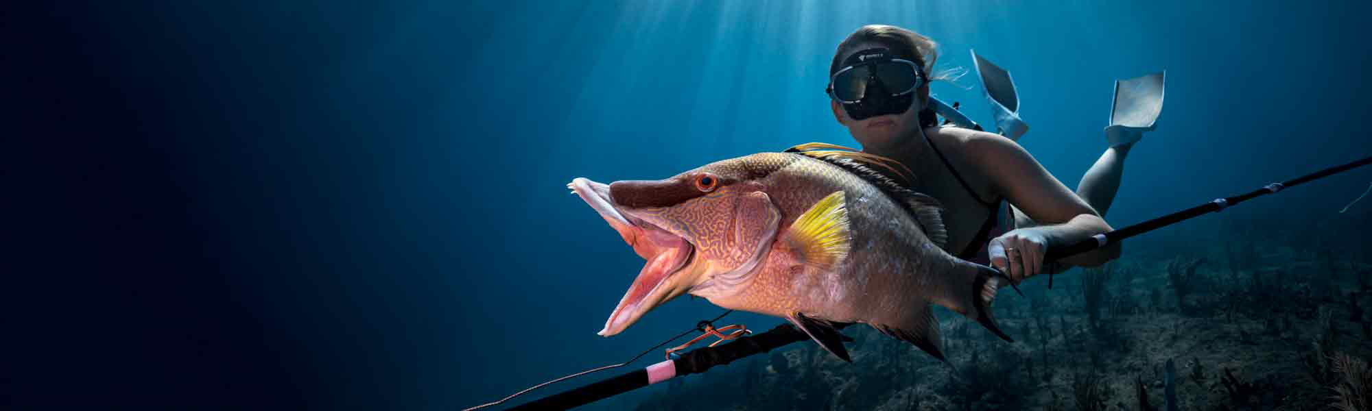 The Headhunter Spearfishing Co.  Designers of performance pole spears,  hawaiian slings, and quality apparel for the ocean-minded lifestyle.